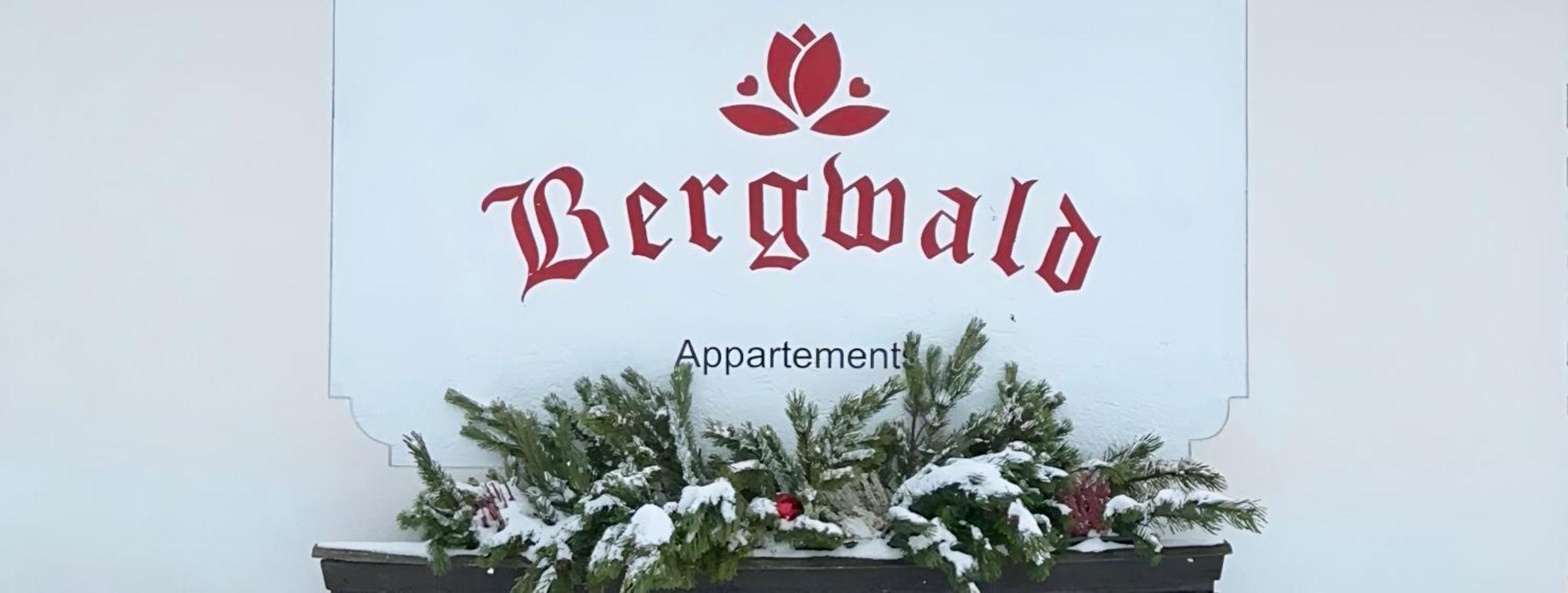 Bergwald Apartment Alpbach Exterior foto